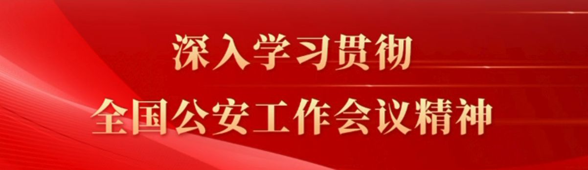 深入学习贯彻全国公安工作会议精神