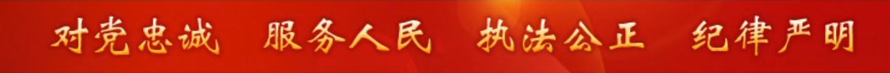 对党忠诚 服务人民 执法公正 纪律严明
